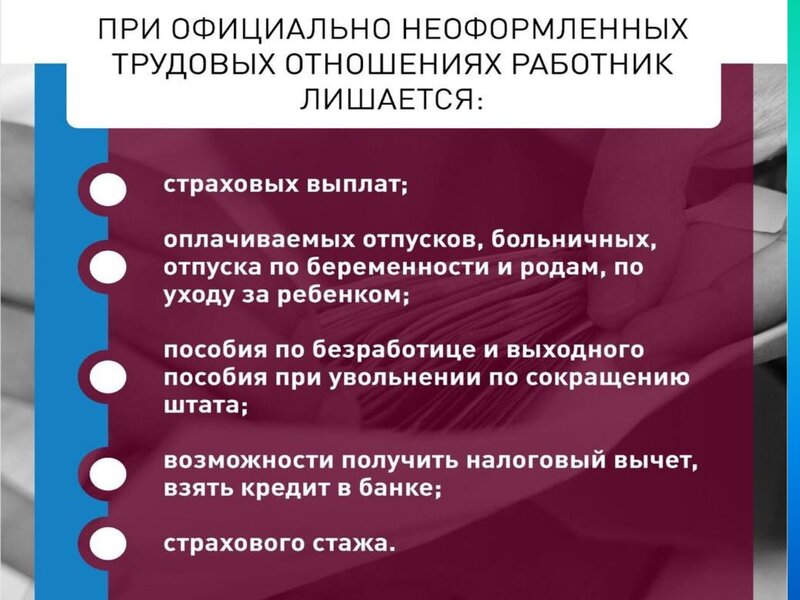 Неделя правовой грамотности по вопросам трудовых отношений «Краснодарский край — территория без тени»